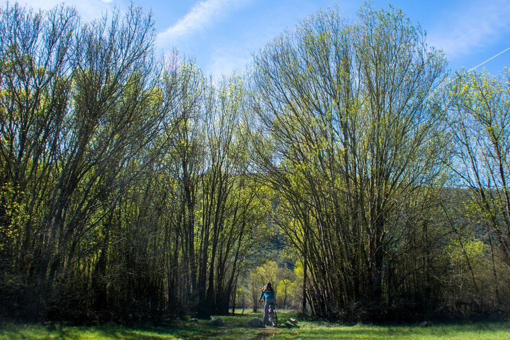 Retiro Do Bosque Country House Minde Buitenkant foto
