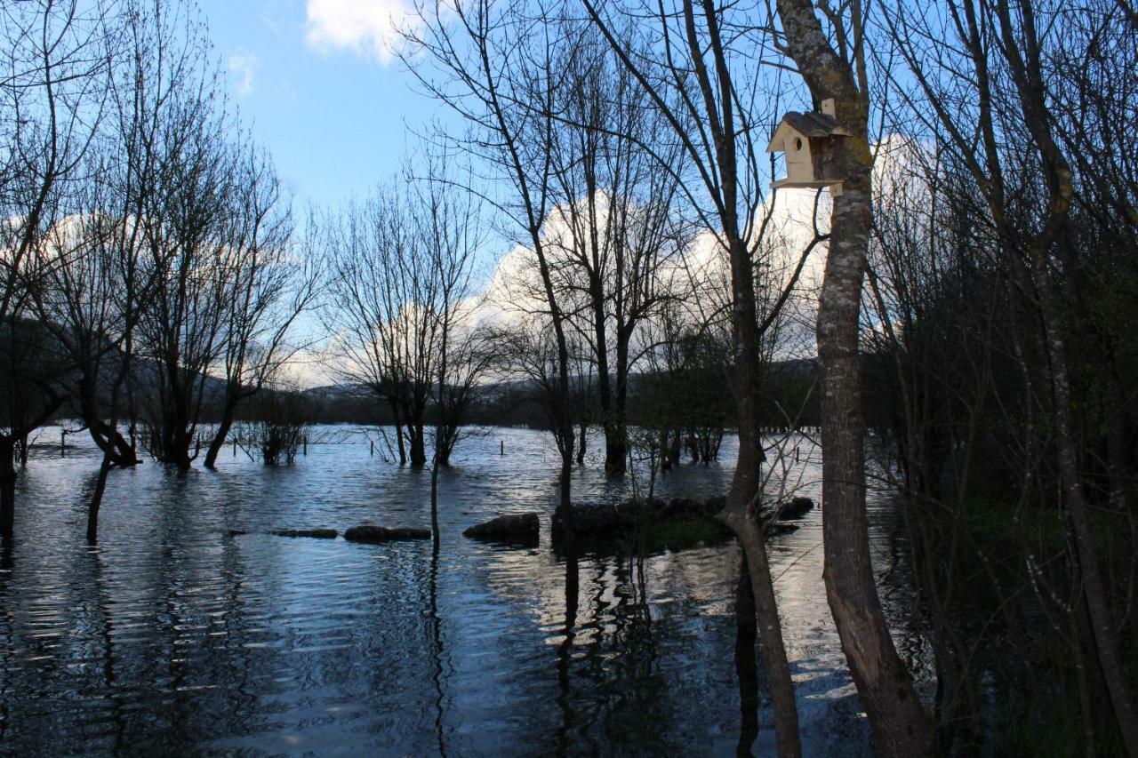 Retiro Do Bosque Country House Minde Buitenkant foto